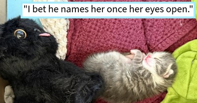 1 day old kitten found abandoned by cat mom in Texan apartment complex parking lot saved by friends against advice of animal control and adopted into furever home, rescuer says: ‘She's doing really well and has already gained about an ounce’
