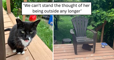 'We moved into a new house and it came with a cat': Outdoor neighborhood cat slowly earns family's trust, moves in for winter, and becomes the one extra cat they swore they wouldn’t get