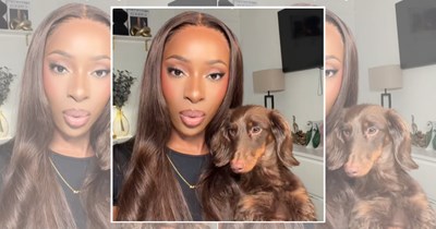 20 Pets Who Could Easily Pass as Their Owner’s Twins