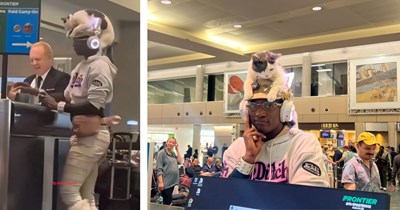 Deaf man goes viral for wearing his famously calm cat as a hat while going through TSA checks at Tampa airport: 'That cat got first class vibes'