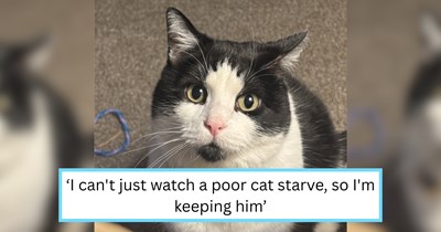 Man rescues and falls in love with starving stray cat, who completely changes him from "stubborn dog person" to feline fanatic with only a cute face and cuddles