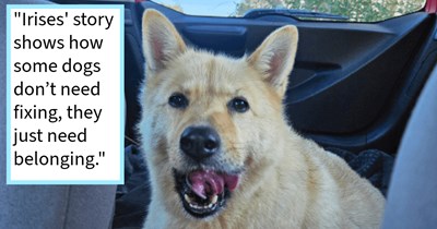 Dumped senior dog full of love found on Californian desert highway finds furever home thanks to San Franciscan dog rescue with senior citizen who says: ‘She is the most wonderful thing that's happened to me’