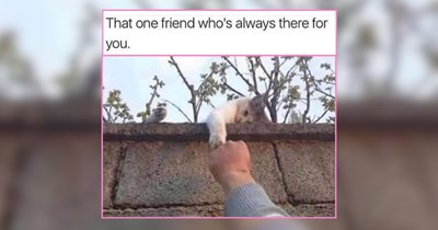 28 Meowgical Little Meowers Bringing All Kinds of Whimsy