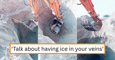 Construction operator makes heroic rescue after finding a stray dog trapped in a pit, then gets booed online for dropping him (Video)