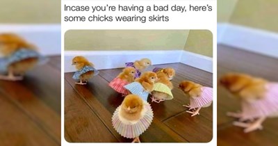 The Best Heartwarmingly Wholesome Memes and Posts of the Week