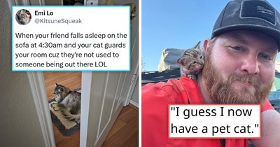 Your Weekly Caturday Meowgazine: 20 I Can Has Meowments That Capture Cats at Their Derpiest and Sweetest (April 4, 2026)
