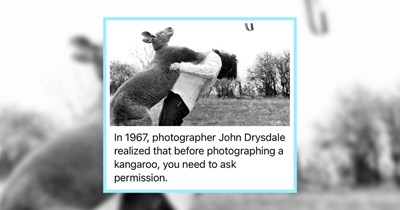 22 Wild Animal Memes Full of Wacky and Weird Animal Antics