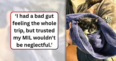 Woman left hurt and angry after trusting her mother-in-law to watch her cat, only to return from a week-long trip to a total nightmare: 'I feel guilty for leaving him in bad hands with someone I am supposed to trust.'