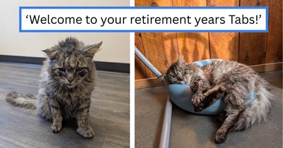 'He's actually so sweet and cuddly': Feline fan spends a year gaining the trust of the crusty feral cat that loves his lawnmower, finally settles into a well-earned retirement with pawrents that love him