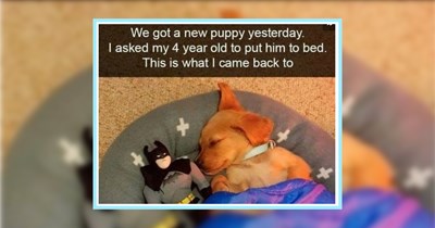 24 Soul Warming Dog Memes For Hoomans Who Need a Happy Heartwarmer