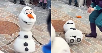 AI-powered Olaf animatronic hilariously passes out at Disney World after malfunctioning in front of guests: 'A generational GIF just dropped.'