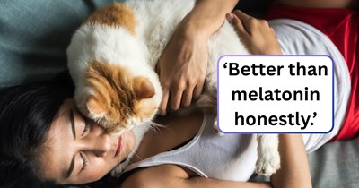 'She settled on my chest, directly over my heart': One cat pawrent's story prompted the online feline family to share the meowgical ways their cats sense when they need a late-night hug