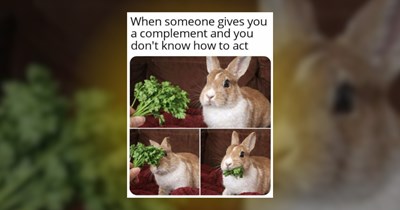 Hop Into a Haha Mood With 22 Funny Bunny Memes