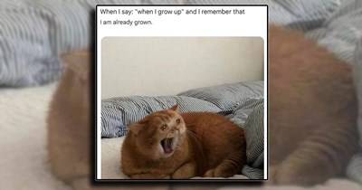 'Laughter is the best medicine': 21 Laughs That Will Guide You On Your Inner Journey to a Happy Brain (April 4, 2026)