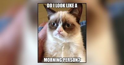 21 Funny Memes of Felines Fed Up With the Meowning