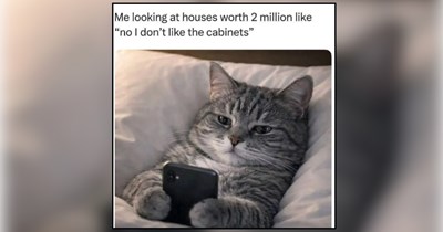 21 Meowvelous Memes of Cats Taking Over the House as Their Purrsonal Property
