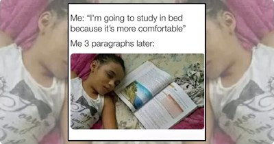 25+ Relatable School Memes for Students Counting Down to the Final Bell