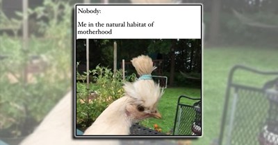 ‘You’re doing the best you can mom and dad!': 21 Parenting laughs for witty mothers and fathers (April 11, 2026)