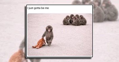 'Laughter is the best medicine': 21 Laughs That Will Guide You On Your Inner Journey to a Happy Brain (April 11, 2026)