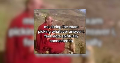 21 Memes Helping Students Procrastinate Until the Adrenaline Rush Hits