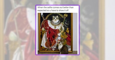 30 Meowing Memes of Cats Doing Their Cat Thing