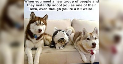 The Best Heartwarmingly Wholesome Memes and Posts of the Week