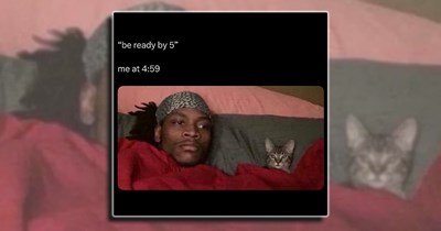 'It all started when...': Pour a dash of these laughs into your morning coffee for some extra energy (April 25, 2026)