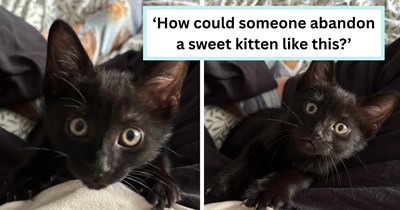 'Found this little peanut abandoned in my shared garden': Adorable void cat wins the heart of kind stranger who already has 4 cats, but she won't give up on her so easily 