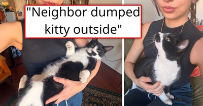 'So she just dumped her outside': Neighbor tells woman who found her super friendly abandoned cat that the cat is hers, but she had to "get rid of it" because of her daughter's asthma 