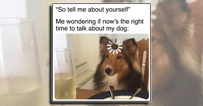 A Wholesome Doggo Break to Fill Your Cup with Dog Meme Pawsitivity (April 25, 2026)