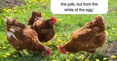 35+ Random Facts Worthy of Saving Any Awkward Silence During Conversation