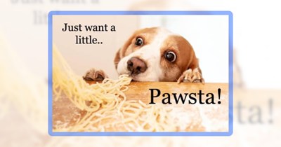 25 Precious Pupper Pawsts for Doggo Parents Who Need More Dogs in Their Lives