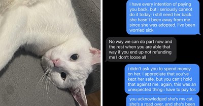 Neighbor holds lost cat "for ransom" and demands a reward, then throws the frightened feline outside when owner can’t immediately pay: 'I need her back. She's my baby!'