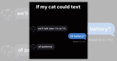 27 Wholesome Feline Funnies to Set the Tone for a Purrfect Week Ahead