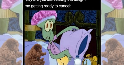 20 Old Soul Memes for Young People Secretly Powered by Tea and Blankets  