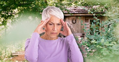 60-year-old homebuyer blindsided by previous owner, who demands access to the backyard shed: 'These sheds can go for thousands of dollars'