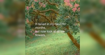 The Best Heartwarmingly Wholesome Memes and Posts of the Week