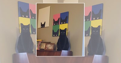 24 Cats Blending Into the House Like Furry Chameleons  