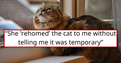 Pregnant sister-in-law "temporarily rehomes" her cat because she "couldn't deal with her right now", without telling the new owners it's temporary, they fall in love with the kitty and refuse to give her back: '[She says] I'm stealing her cat'