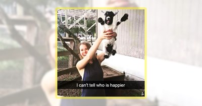 24 Delightful Domestic Animal Memes to Remind You of Home