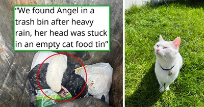 Mother and daughter find a limp white kitten in a trash can with her head stuck in a food tin, her last attempt at getting a meal before she stopped fighting, they rescue her, restoring her hope and safety