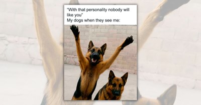 A Delightful Dash of Doggo Memes to Download Dopamine Directly to Your Brain