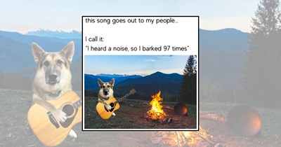 21 Dog Memes to Bark Away the Midweek Blues