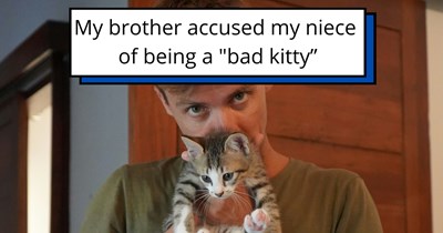 Parents send ‘bad kitty’ to jail without trial or a chance to meow in her defense after she steals a bite of McDonald’s; hilarious debate ensues: 'Her diet doesn't let her have junk food'