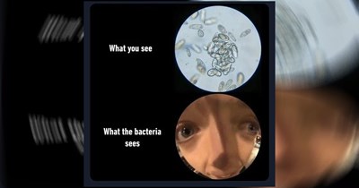 Random Memes to Ease the Pain