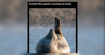 26 Memes To Keep You Warm in the Middle of the Night