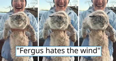 Giant Scottish cat goes viral for hating windy weather, and the internet makes him into an instant classic meme: 'He guards the coast of his homeland with bravery'