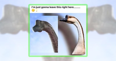 29 Dinosaur Memes for When You Feel a Little Extinct Inside