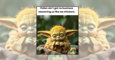 22 Spring Memes for Anyone Who Needs a Ray of Sunshine Energy