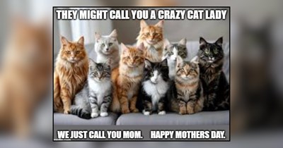 20 Wholesome Memes of Cat Moms Who Deserve Mother’s Day Treats